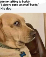 1750288293569.png