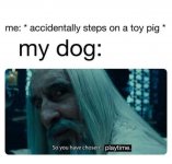 1000023208.jpg