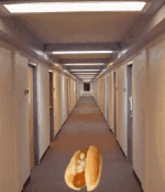 IMG_1032.gif