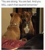 1750470848954.png
