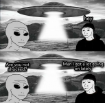 1750603607960.png
