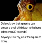 1750621520843.png