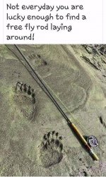 IMG_0735.jpeg