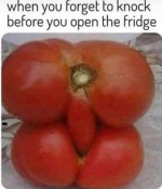 1000023306.jpg