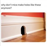 IMG_9067.jpeg
