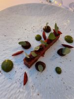 IMG_1026.jpeg