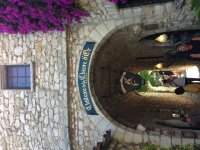 IMG_2268.jpeg