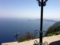 IMG_2246.jpeg