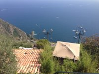 IMG_2256.jpeg