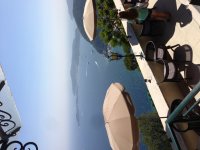 IMG_2241.jpeg