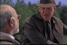 IMG_0017.gif