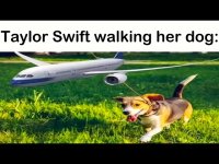 IMG_3319.jpeg