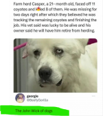 1751307123418.png