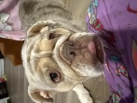 IMG_5533.jpeg