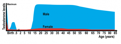 1751405347464.png
