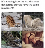 1751420797433.png