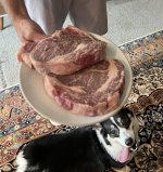 IMG_6210.jpeg