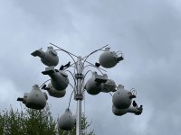 IMG_5454.jpeg