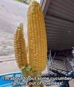 1751506198996.png