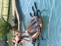 IMG_0590.jpeg