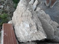 IMG_6028.jpeg