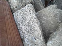 IMG_6027.jpeg