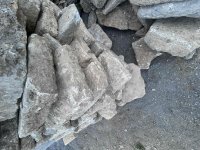 IMG_6031.jpeg