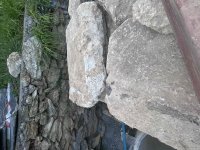 IMG_6029.jpeg