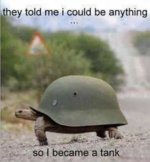 IMG_9148.jpeg