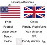 1000023541.jpg