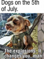 1751745161364.png