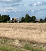 IMG_4816.jpeg