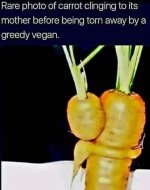 1000023575.jpg