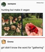IMG_9192.jpeg