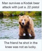 IMG_1980.jpeg