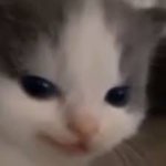 IMG_2721.jpeg