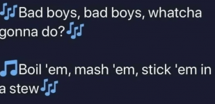 bad-boys-bad-boys-whatcha-gonna-do-boil-em-mash-em-stick-em-stewv.png