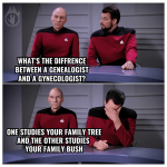 between-genealogist-and-gynecologist-one-studies-family-tree-and-other-studies-family-bush.png