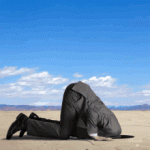 IMG_0668.gif