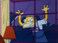 3AVNDli.gif