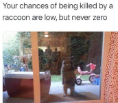 1752268387573.png