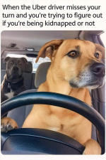 1752436174095.png
