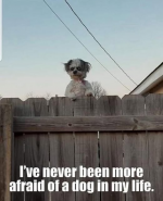 1752463166081.png