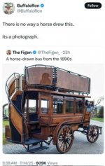 IMG_9921.jpeg
