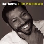 teddy.jpg