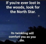 1752539392930.png