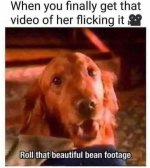 IMG_9446.jpeg