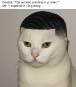 IMG_3237.jpeg