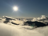 IMG_2029.jpeg