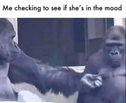 1752792907236.png